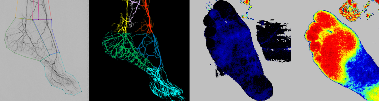PPS-Innovatieregeling (vanaf 2024)