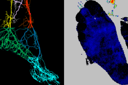 PPS-Innovatieregeling (vanaf 2024)