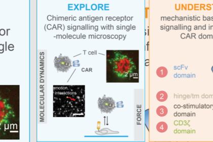 PPS Programmatoeslagregeling (tot en met 2023)