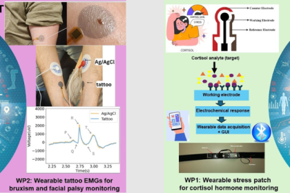 PPS-Innovatieregeling (vanaf 2024)