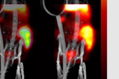 PPS-Innovatieregeling (vanaf 2024)