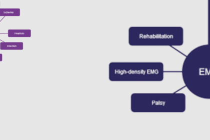 PPS-Innovatieregeling (vanaf 2024)