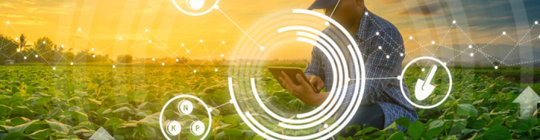 Cross-over PPS Call: Data Science voor Veredeling van Gewassen